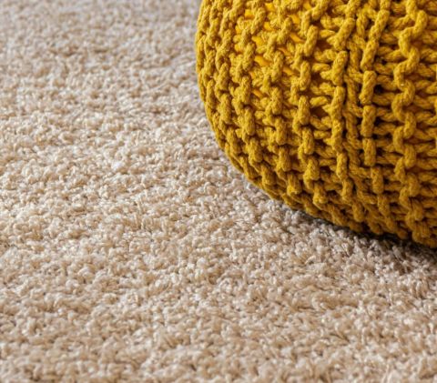 Image depicting the Service Carpet Cleaning